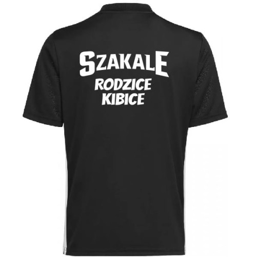 Przechwytywanie w trybie pełnoekranowym 15.09.2025 113157.bmp.jpg
